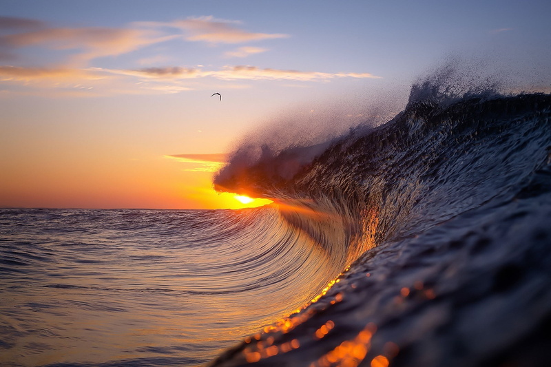 seagulls, outdoors, motion, smoke - physical structure, orange color, sunset, nature, s, horizon, red, shirt, water, 1080P, power in nature, black, scenics - nature