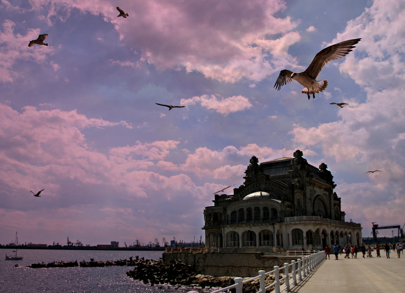 black sea, the past, spread wings, 2K, sunset, white, cloud - sky, nature, daytime, birds, animal themes, travel destinations, group of animals, near