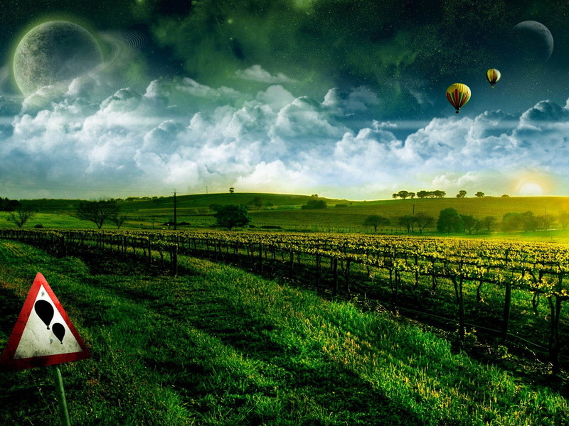 cloud - sky, day, growth, sky, green color, rural scene, plantation, farm, environment, planet, beauty in nature, field, landscape, sign, no people, nature