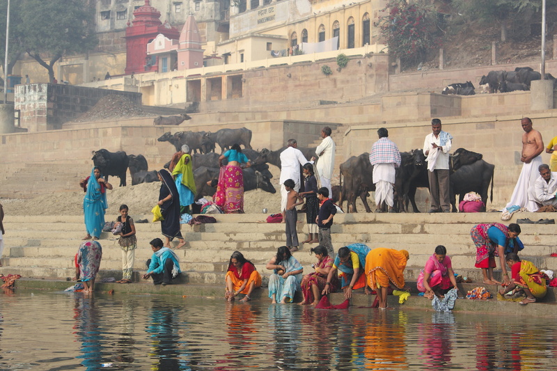 banner system, large group of people, men, cow, water, india, built structure, varanasi, women, guide, adult, city, crowd, outdoors, the ganges river, 4K
