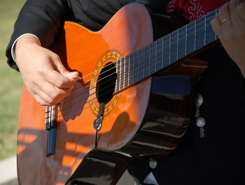 arts culture and entertainment, musical instrument, quitar, real people, performance, acoustic, human hand, musician, plucking an instrument, hand, holding