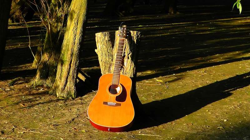 guitar, instrument, musician, musical Instrument String, no people, string, nature, high angle view, string instrument, day, fretboard, musical Instrument