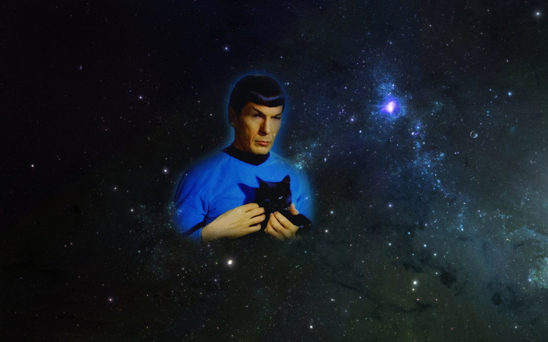 Spock, space, Star Trek, 1080P