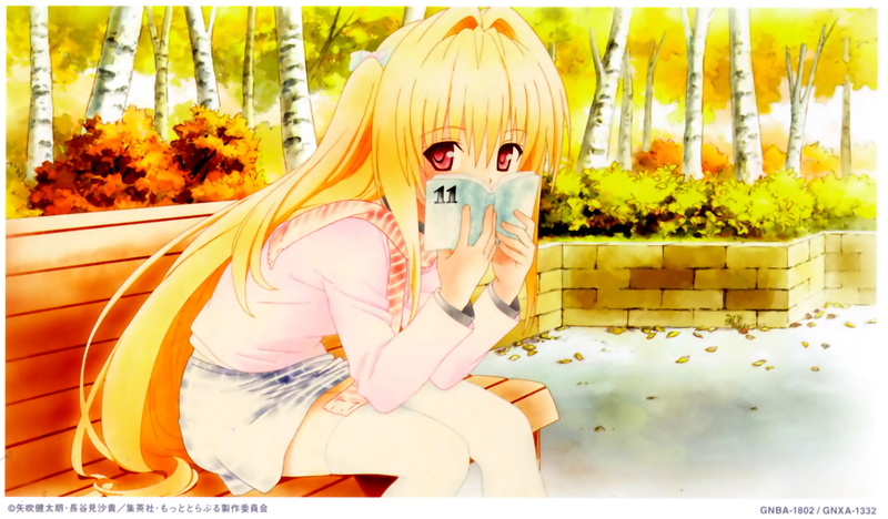 anime, art, haruna, deviluke, sairenji, golden, love, satalin, rito, lala, ru, darkness, yuuki, hd, To Love Ru, Golden Darkness, hot, x, 2K