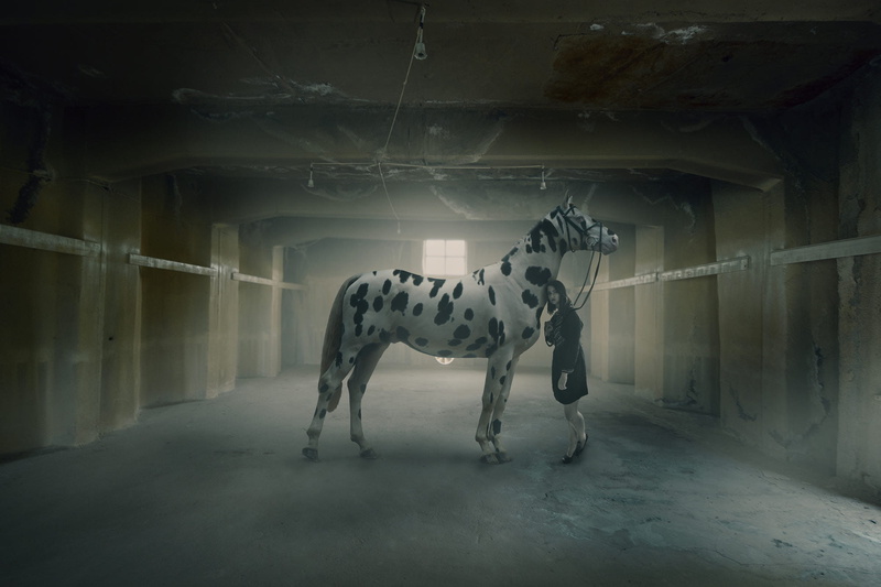 Ozkan Durakoglu, side view, animals, 1080P, dalmatian dog, animal themes, digital composite, domestic animals, one animal, livestock, herbivorous, animal