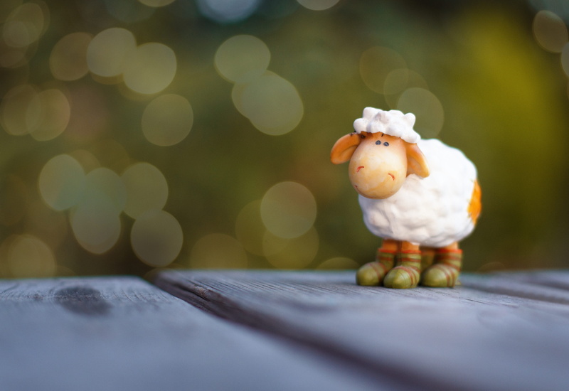 representation, animal, animal themes, easter theme, figurine, face, easter decoration, fun, bird, deco, lamb, selective, animal representation, bokeh