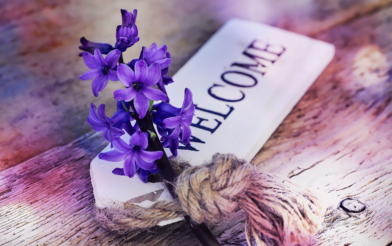 no people, wood, bunch of flowers, fragrant, hyacinth, indoors, flowers, bouquet, signage, purple, text, freshness, wood - material, western script, fragility