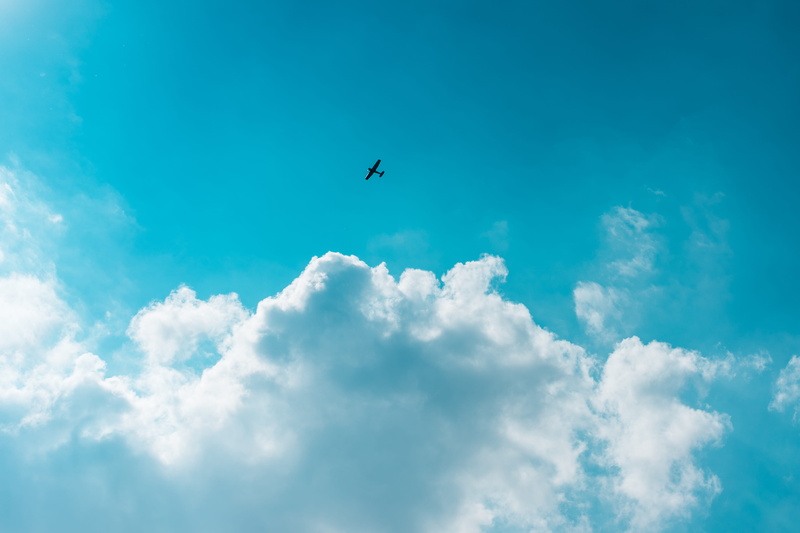 outdoors, nature, cloud - Sky, silhouette, sunlight, little, clouds, flying, plane, planes, freedom, 4K, animal themes, mid-air, backgrounds, blue, one animal
