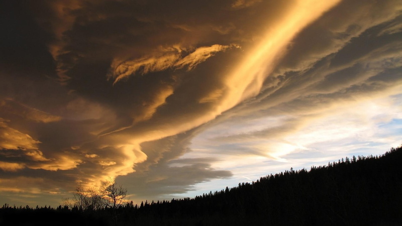 nightfall, majestic, nature, wind, splendour, trees, cloud, dusk, evening, twilight, 1080P, sunset, storm, beauty