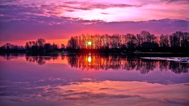 sunset, lovely, 1080P, oak, cool, 3d and abstract, beauty, warm, fascinating, awesome, trees