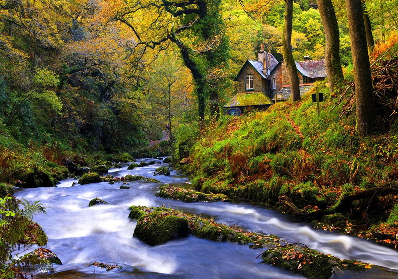 nice, river, beautiful, pretty, forest, trees, 1080P, peacweful, grass, cree, water, quiet, cabin, colorful, cottages, lovely