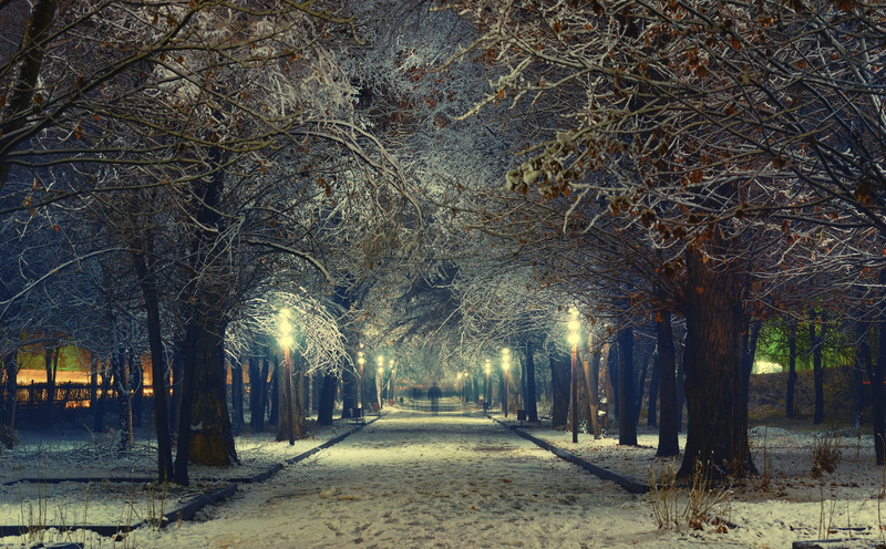 5K, footpath, beauty in nature, cold temperature, Ghosts, Winter, Cold, illuminated, brown, Night, plant, direction, nature, Snow, Trees, no people, tree trunk