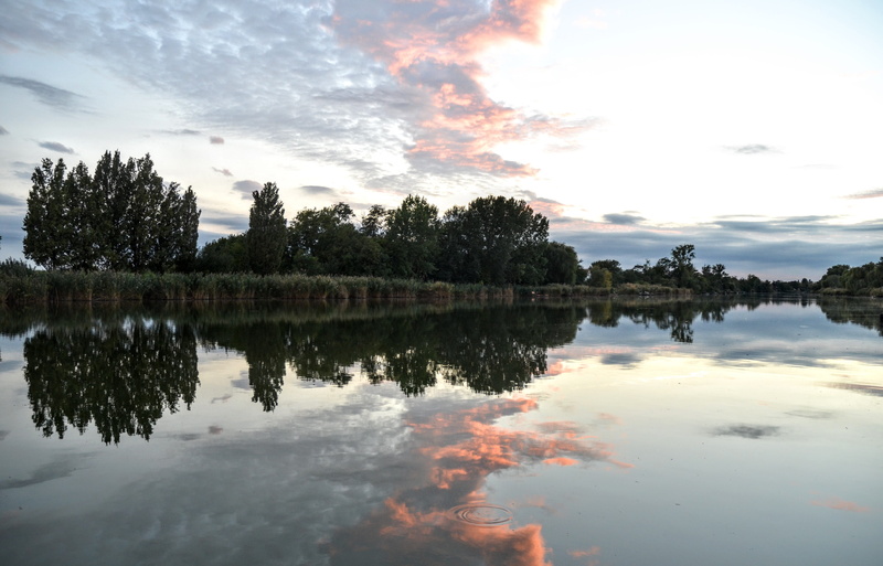 symmetry, plant, reflection, tranquility, idyllic, cloud - sky, waterfront, blue, mirror, no people, outdoors, sky, scenics - nature, tisza, 4K, pink