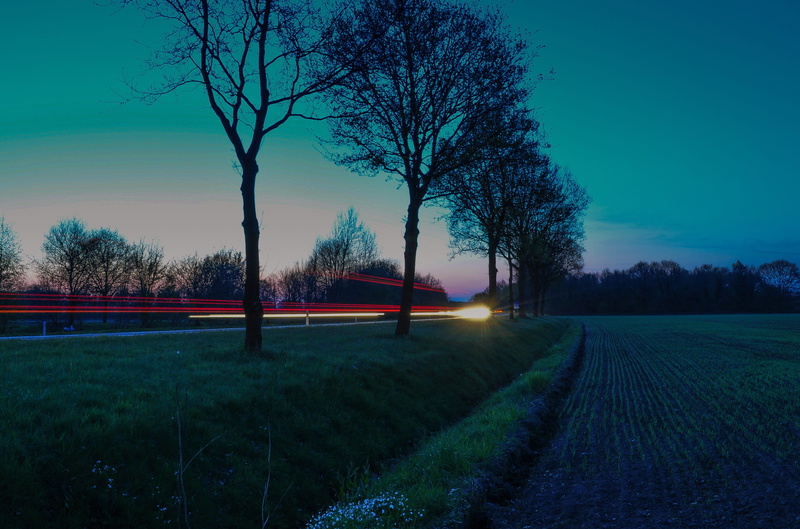 Rural, evening, sunset, rural Scene, plant, long exposure, scenics, tranquil scene, bare tree, road, traffic, outdoors, land, no people, Night, blue, tree