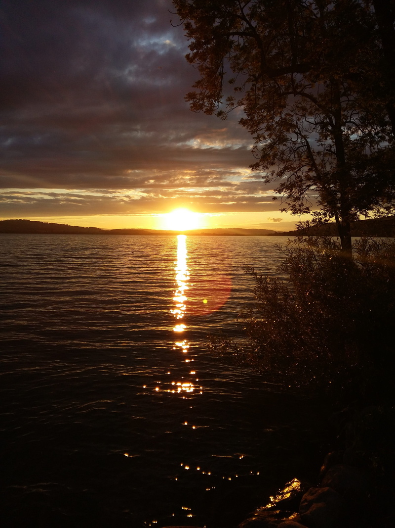 tranquil scene, sun, sky, orange color, tree, sunset, no people, nature, scenics, cloud - sky, 4K, idyllic, sunlight, horizon over water, sea, lens flare