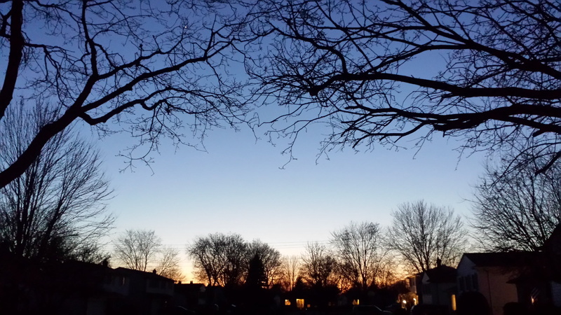 fall, plant, scenics - nature, bare tree, built structure, 2K, no people, branch, beauty in nature, building exterior, sky, dusk, nature, twilight, outdoors