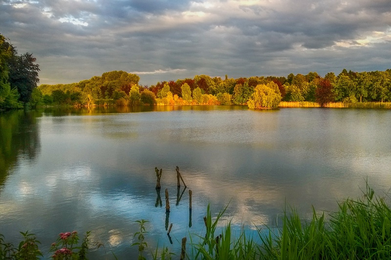 2K, tree, lake, grass, water, cloud - sky, tranquil scene, idyllic, reflection, heverlee, growth, sky, day, tranquility, nature, nightfall, non-urban scene