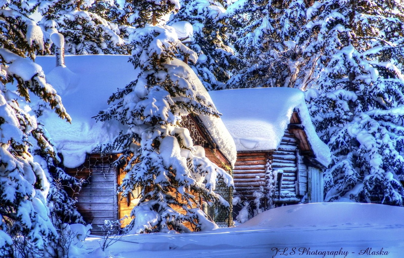 lovely, wooden, snow, winter, calm, trees, cabin, village, peaceful, beautiful, cottage, nice, tree, 1080P, covered, cold, alaska, snowy, house