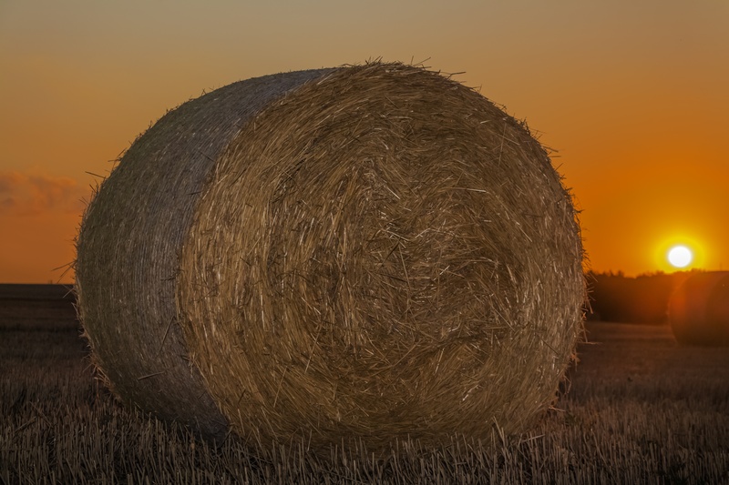 rolled, bale, rolled up, nightfall, farm, light, bales, hay, circle, rural scene, sky, rural landscape, sunlight, economy, grass, cereals, field, tranquil scene