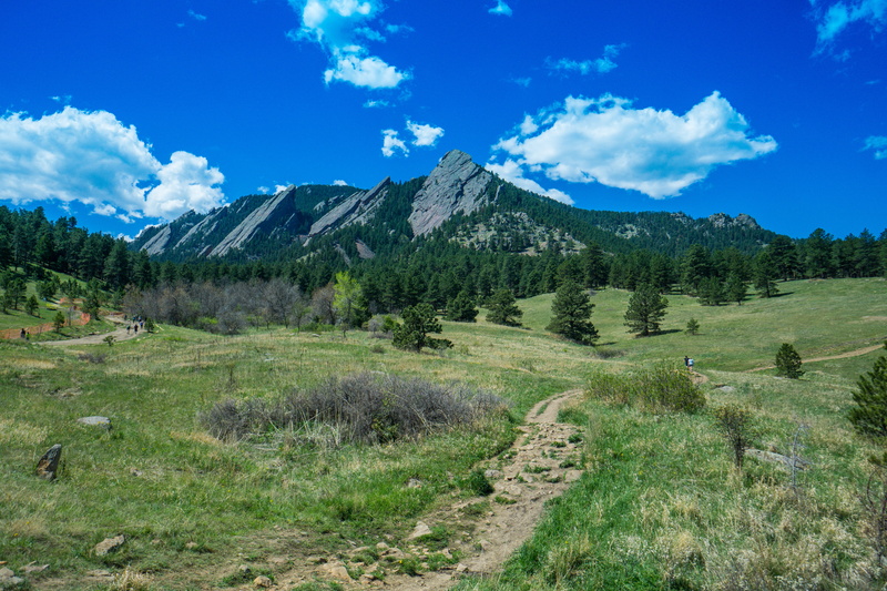 tree, trees, day, a6000, outdoors, field, wanderer, no people, green color, nature, flatirons, boulder, plant, tranquil scene, scenics - nature, hike, mountain