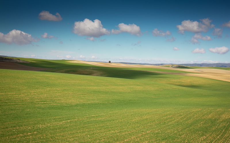 day, Mark, field, canon5d, leisure activity, Castilla-La Mancha, environment, canon5dmk3, green color, Fields, no people, cloud - sky, Photography, activity
