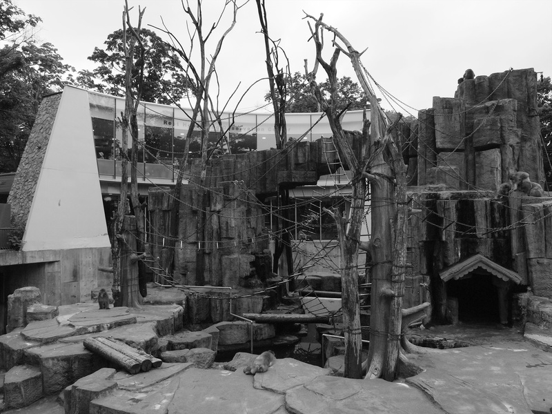 demolished, obsolete, construction site, architecture, ruined, machinery, construction industry, building exterior, abandoned, day, 2K, old, zoo, hokkaido