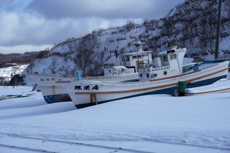 sky, no people, japan, mountain, winter, tree, architecture, port, covering, cloud - sky, sapporo, day, snowcapped mountain, boats, hokkaido, white color