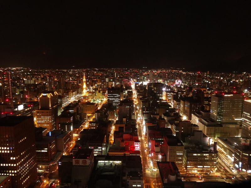 high angle view, city life, modern, 4K, skyscraper, sapporo, aerial, urban Skyline, nature, outdoors, travel destinations, cityscape, urban Scene, building