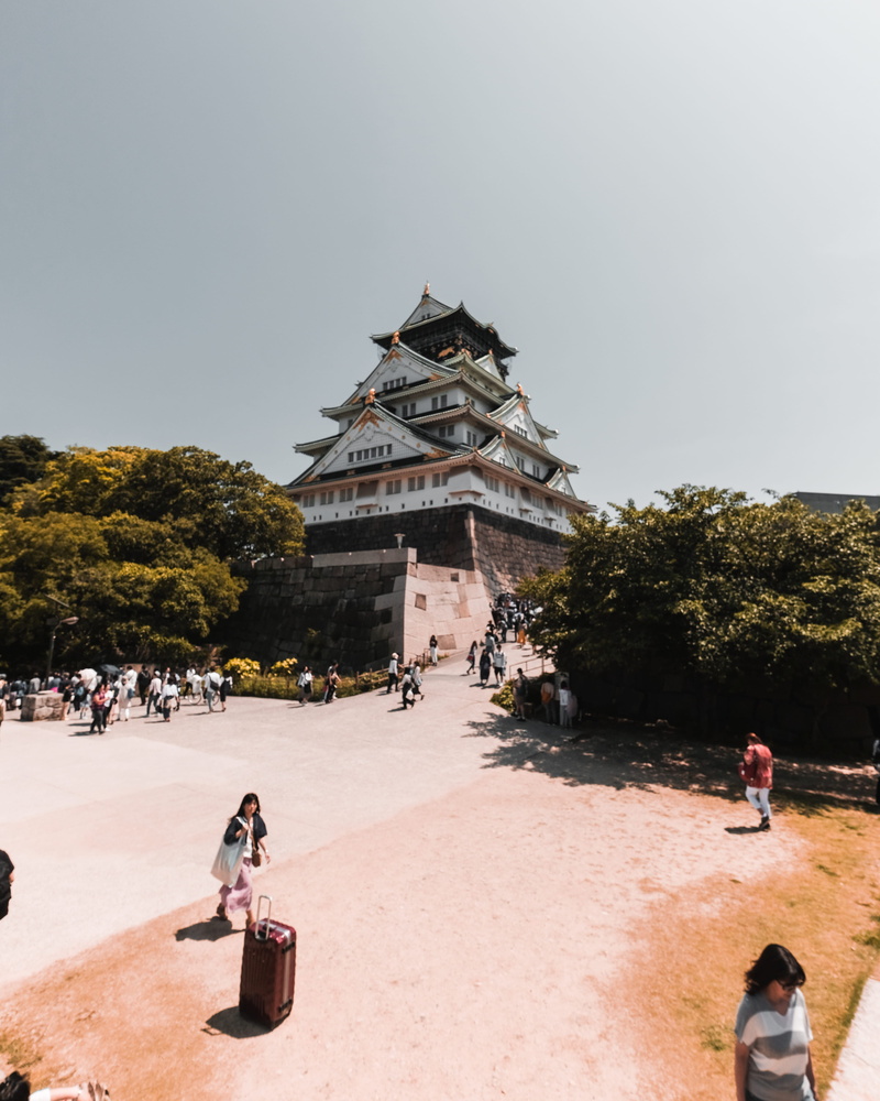 plant, real people, grey, castle, lifestyles, large group of people, sport, suitcase, tree, bell tower, group of people, sky, sports, housing, women, travel destinations