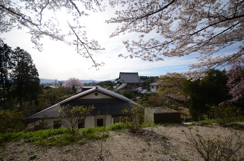 sky, plant, land, beauty in nature, building exterior, no people, outdoors, field, house, cloud - sky, abandoned, growth, cabin, tree, japan, 4K, day