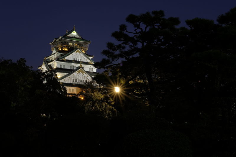 tree, no people, castle, tower, place of worship, osaka, religion, built structure, plant, nature, outdoors, building, building exterior, spirituality