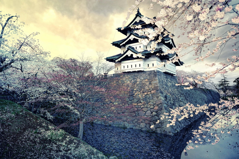 stone wall, tower, old, asia, cultures, ancient, sky, tourism, religion, Sakura, spring, building, 1080P, low angle view, nature, outdoors, wall, tree