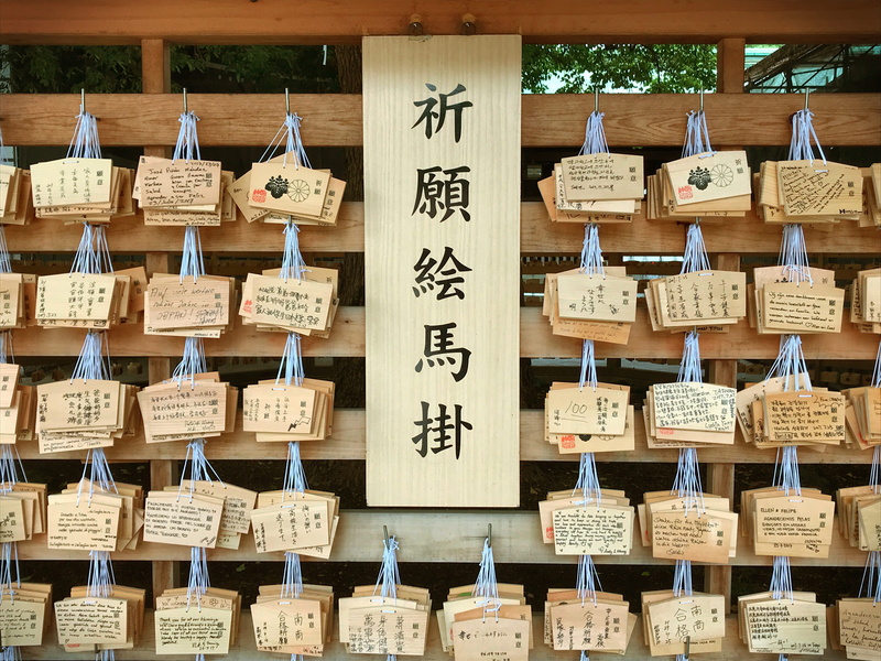 belief, message, shrine, japan, abundance, religious equipment, text, meiji jingu, in a row, hanging, shibuya-ku, spirituality, communication, architecture