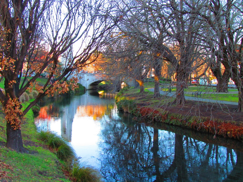 landscape, tranquility, new zealand, no people, growth, day, land, outdoor, christchurch, beauty in nature, bridge fall, water, change, photo, natural