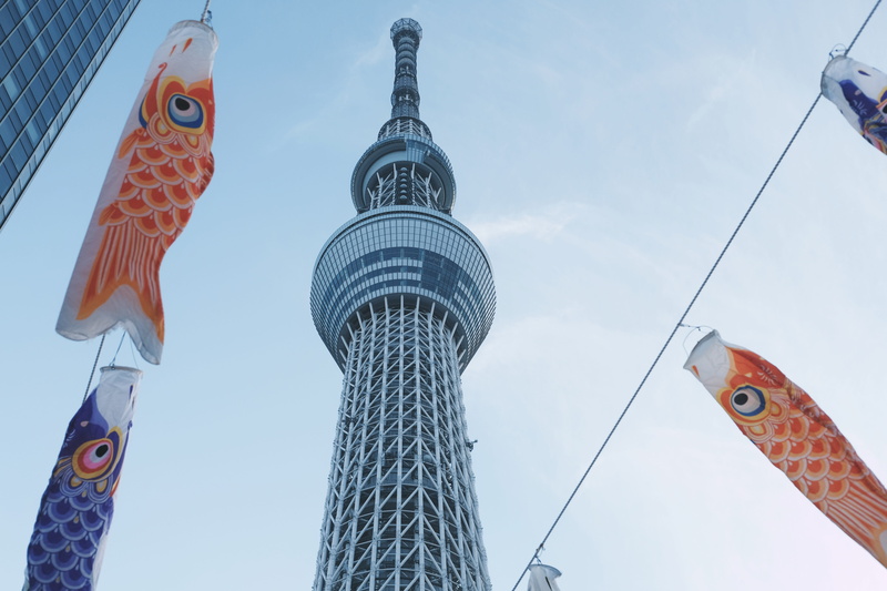 japan, hanging, built structure, tokyo, Skytree, sky, nature, Koinobori, city, representation, low, day, travel, vertebrate, tokyo skytree, low angle view