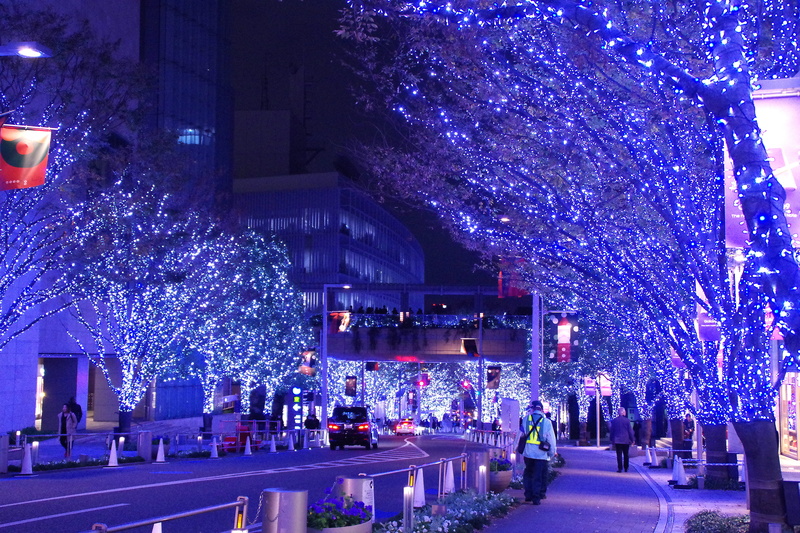 holiday, building exterior, plant, night, roppongi, roppongi hills, decoration, built structure, outdoors, tokyo, light, japan, nature, tree, christmas tree