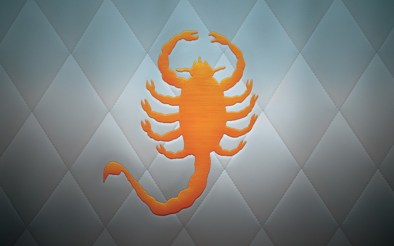 simple, no people, scorpions, white color, Drive, animal, close-up, orange color, vertebrate, nature, orange, creativity, hanging, indoors, flooring, low angle view