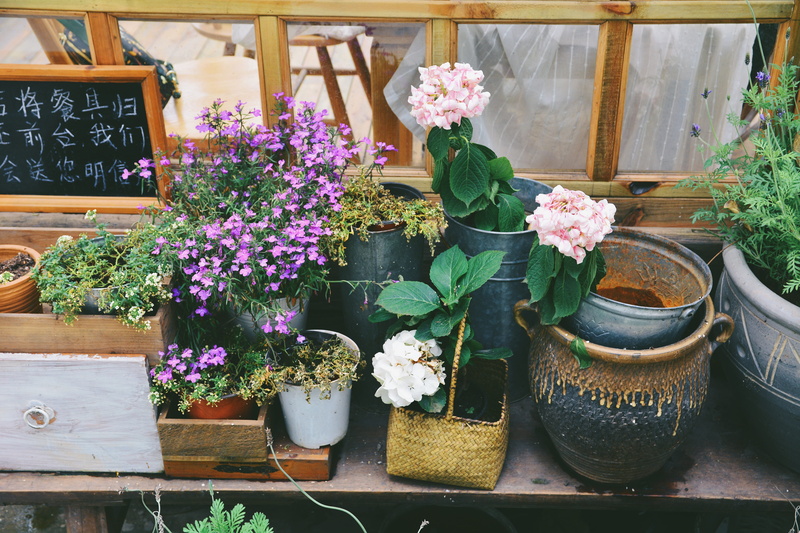 beauty in nature, china, no people, retail display, outdoors, leaf, nature, gardening, container, flower pot, fragility, 5K, flowering plant, plant, growth