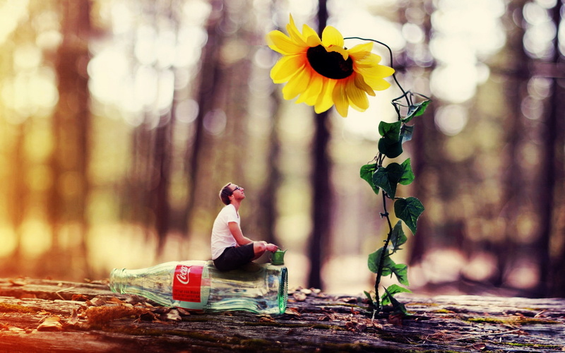 bottle, background, funny, sunflower, 1080P, coke, cocacola