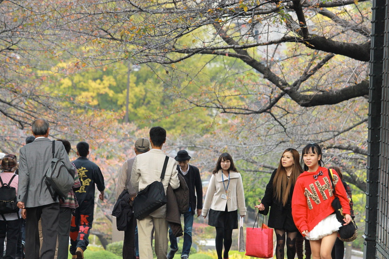 change, day, tokyo, men, group of people, three quarter length, group, japan, 5K, outdoors, tree, autumn, garden, leisure activity, teenager, japão, real people