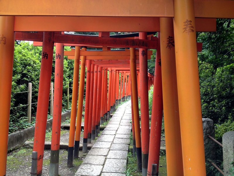 orange color, religion, place of worship, japan, no people, tokyo, direction, outdoors, nezu shrine, 2K, in a row, footpath, diminishing perspective, ueno