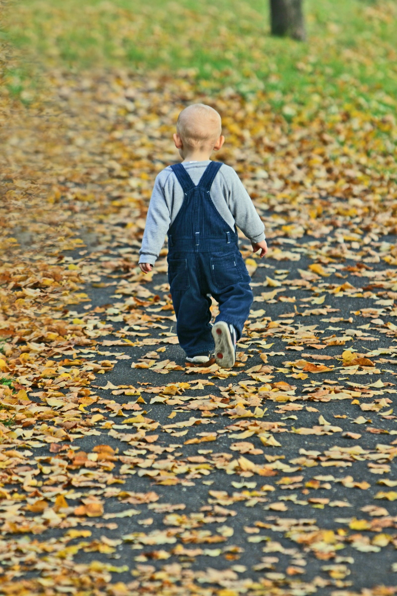 gold, forest, happy, live, background, baby covered, yellow, hidden, caucasian Ethnicity, childhood, joy, walking, leaves, lifestyles, autumn beginning