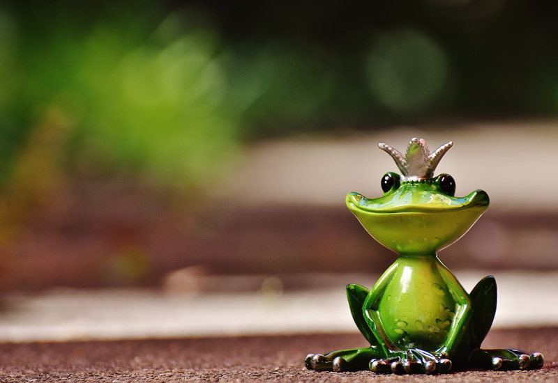 green color, close-up, photo, day, figure, food and drink, healthy eating, shallow, freshness, crown, food, frog, still life, focus, copy space, fruit