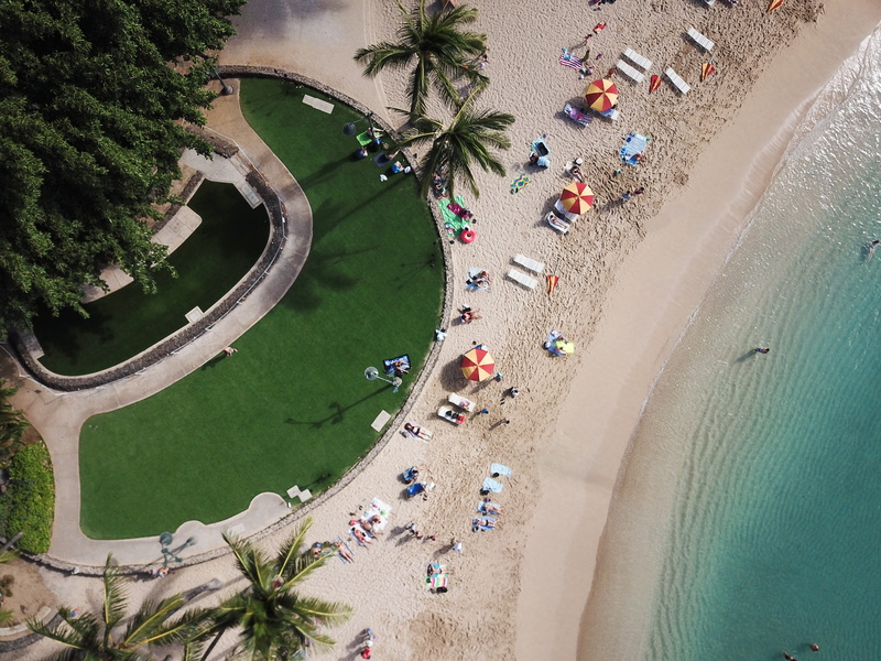 blue, group, aerial, nature, sand, crowd, daytime, group of people, coastline, water, palm tree, near, ocean, vacations, 4K, course, sunshine, tree, turqoise