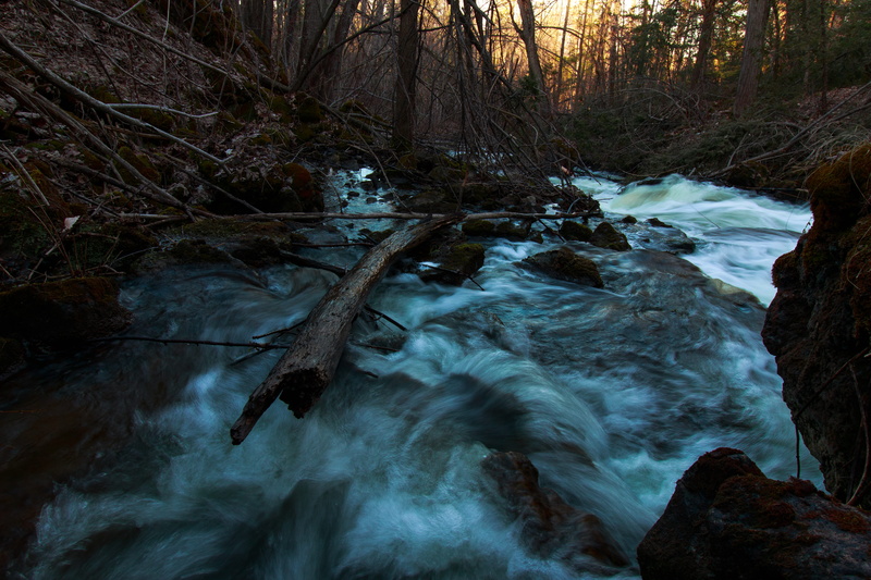 stream - flowing water, flowing, woodland, long exposure, scenics - nature, tranquility, water, ontario, moss, forest, waterfall, plant, rock, stream, outdoors