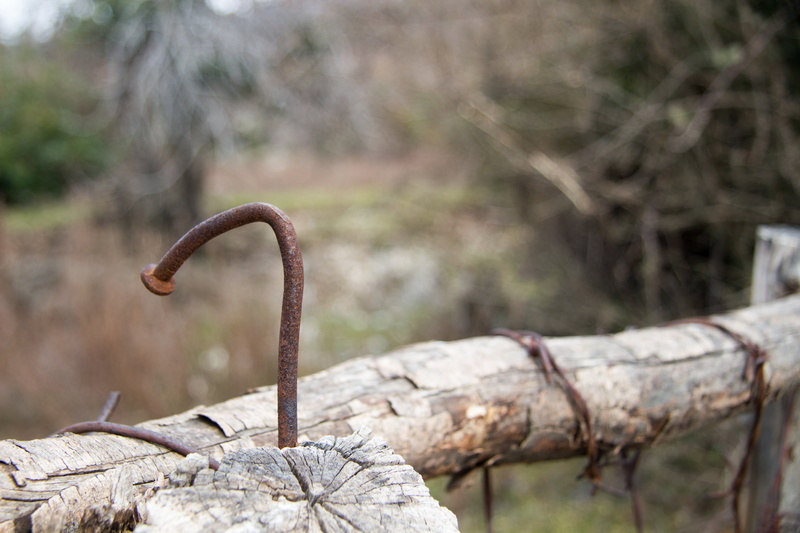 old, tosca, focus on foreground, old age, sorrow, depression, water, growth, tool, the decline of, nail, nature, gloomy, the lone, nails, wood - material