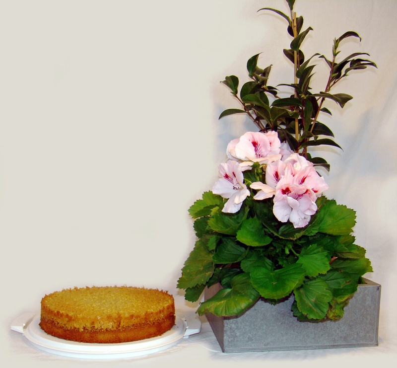 tosca cake, plate, leaf, good, vulnerability, english pelagon, flower head, temptation, flowering plant, 1080P, food and drink, table, food, breakfast