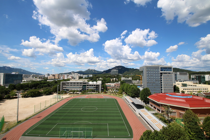 tree, sport, built structure, soccer field, residential district, university, grass, seoul and more, mountain, no people, gong neung dong, outdoors, city