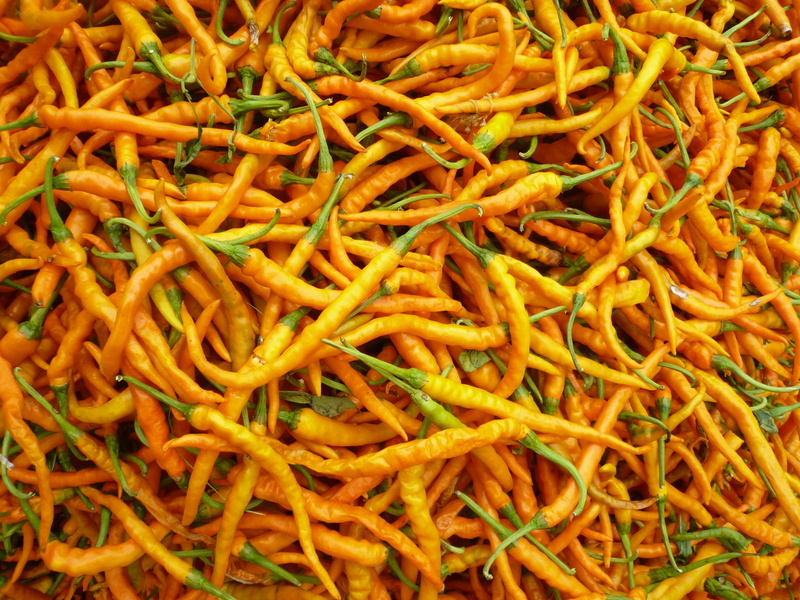 indoors, root vegetable, backgrounds, close-up, full frame, snack, freshness, food, healthy eating, wellbeing, high angle view, chili pepper, vegetable