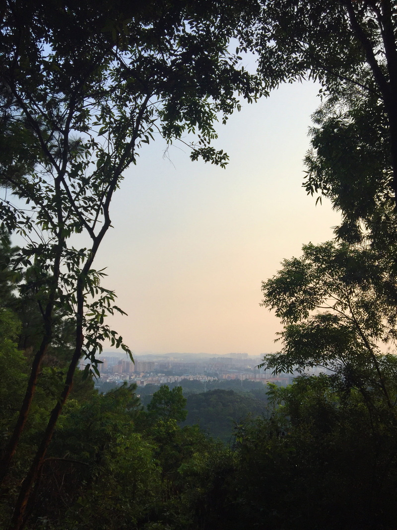 silhouette, sky, dongguan shi, china, land, idyllic, green color, beauty in nature, 2K, park, branch, forest, veiw, non-urban scene, nature, sunset, tranquility